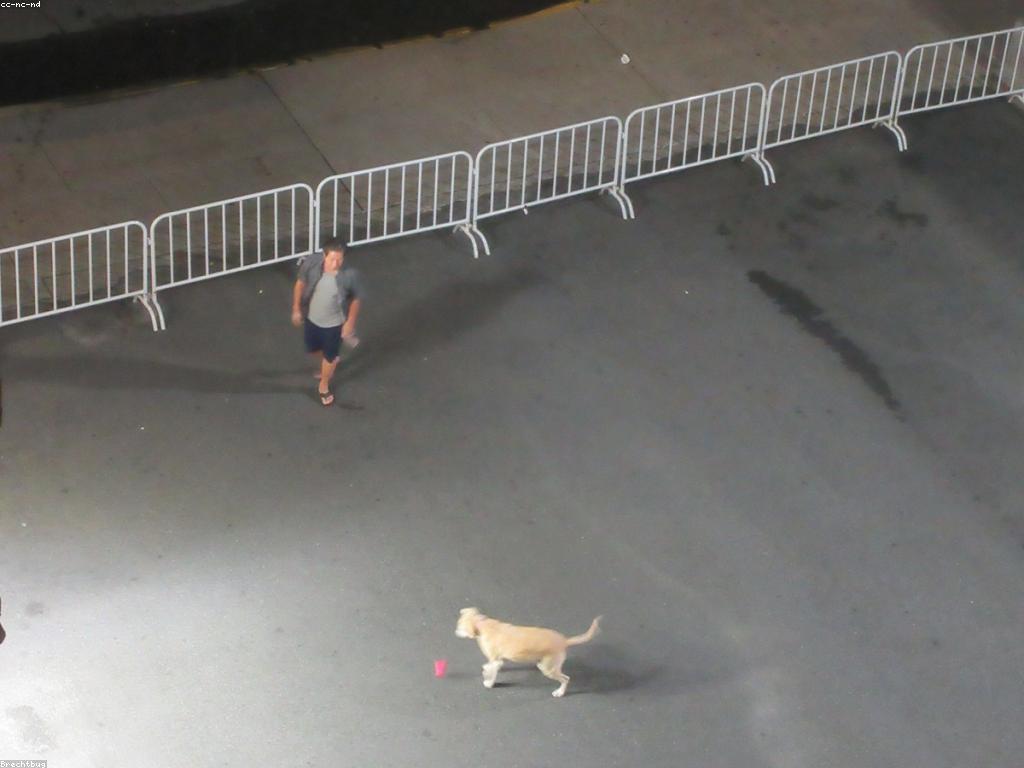 គន្លឹះហ្គេមសម្រាប់ការលេងដែលមានប្រសិទ្ធភាព