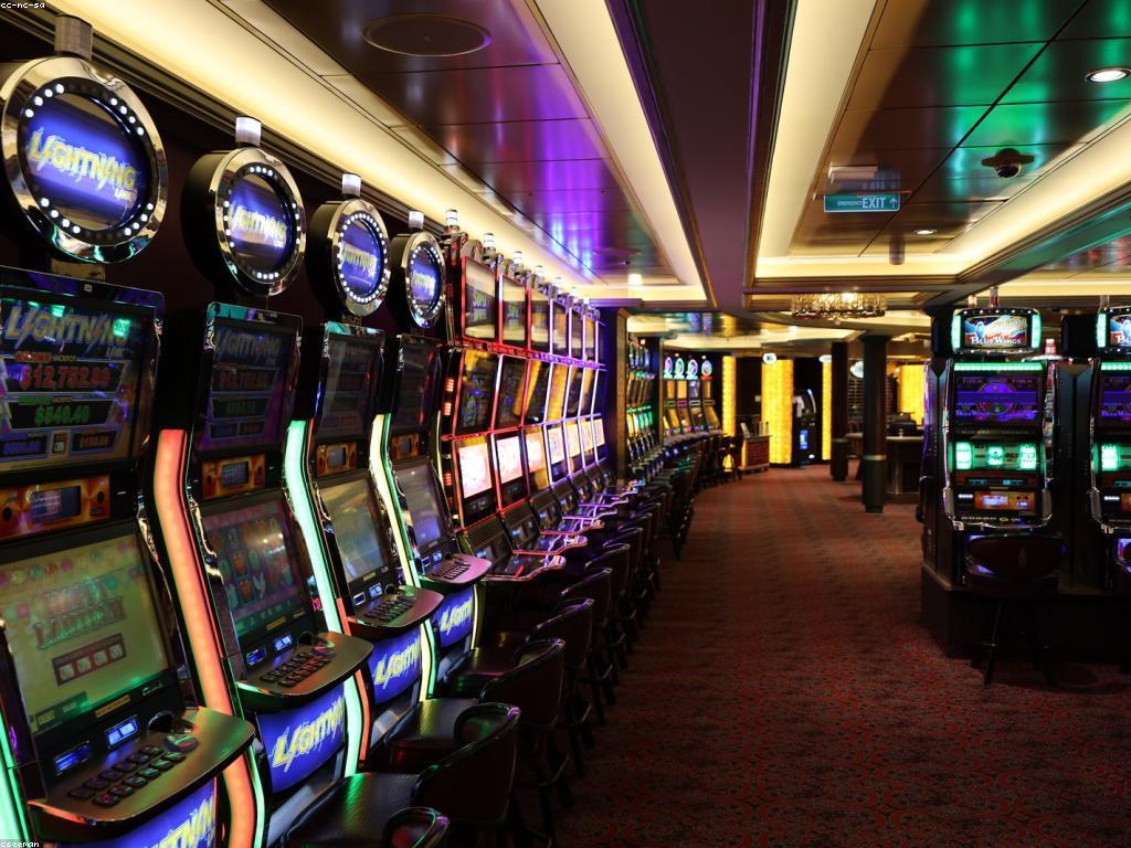 ការពិពណ៌នាពួកគេចំពោះវប្បធម៌កាស៊ីណូ