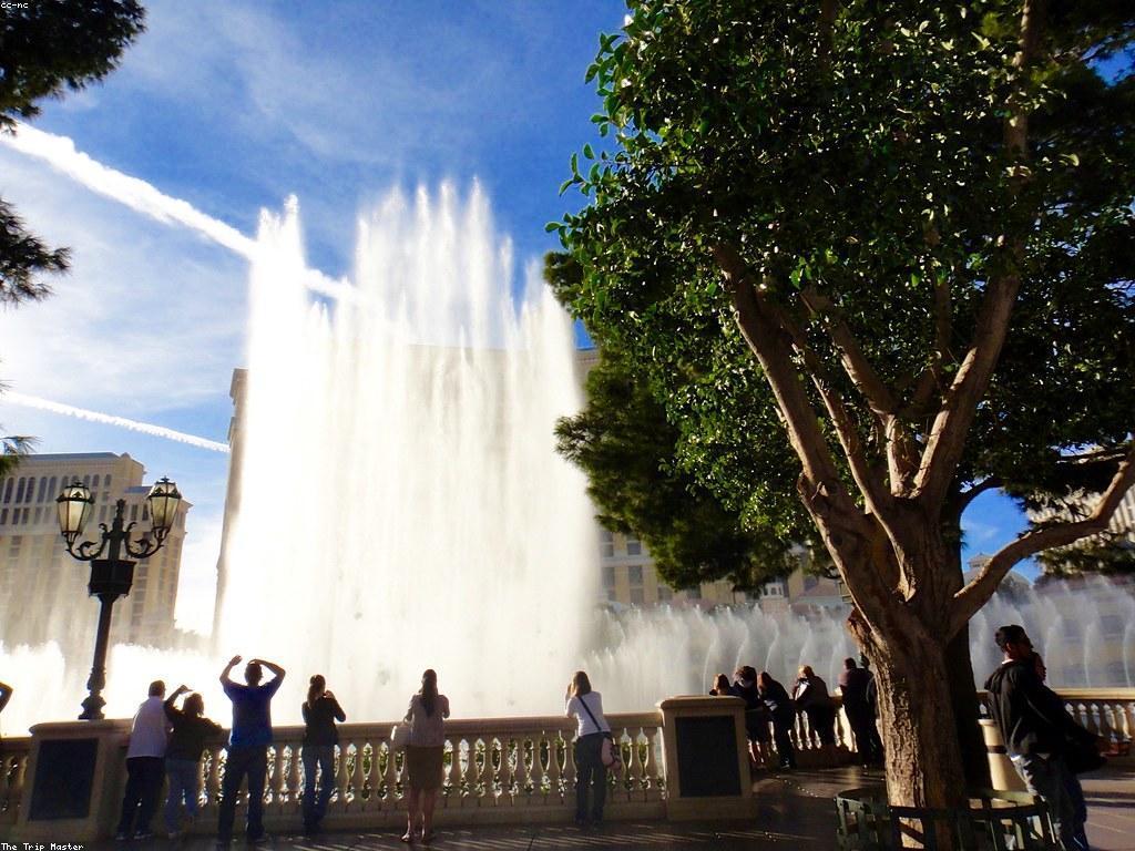 ការស្រាវជ្រាវអំពីវប្បធម៌កាស៊ីណូនៅមីឡាន