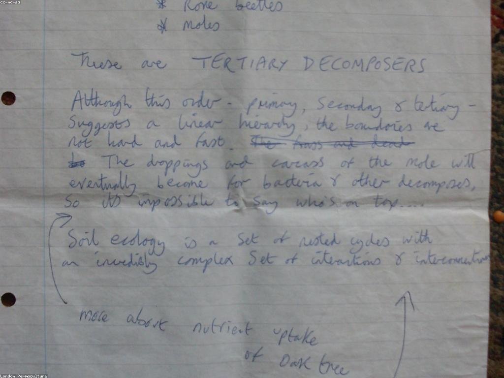 គន្លឹះហ្គេម: ការបង្កើតយុទ្ធសាស្ត្រល្អក្នុងការលេងហ្គេម