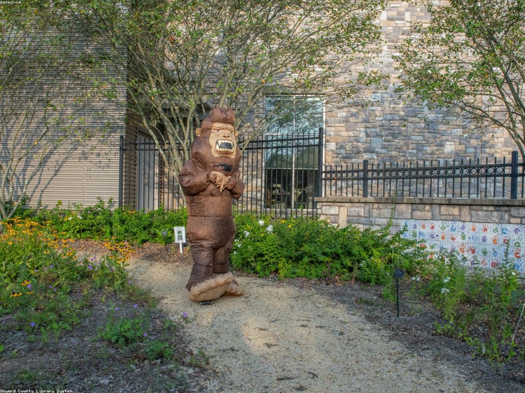 ការពិពណ៌នាអំពីបរិយាកាសកាស៊ីណូ